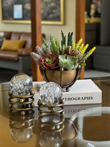 Ahtapot K. Sukulent Aranjmanı, Kitap Kutusu & 2'li Noktalı Cam Küre – Eskitme 4 Parça Set