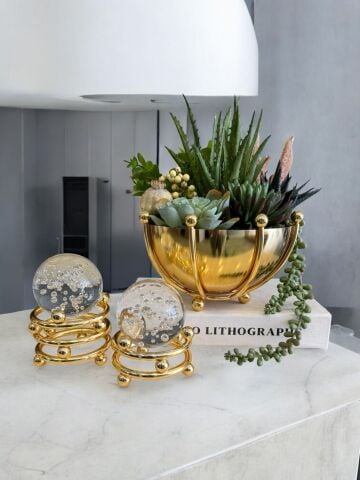 Ahtapot B. Sukulent Aranjmanı, Kitap Kutusu & 2'li Noktalı Cam Küre – Gold 4 Parça Set