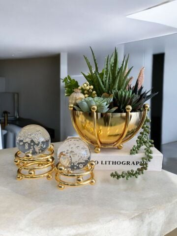 Ahtapot B. Sukulent Aranjmanı, Kitap Kutusu & 2'li Noktalı Cam Küre – Gold 4 Parça Set