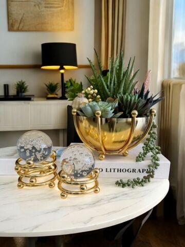 Ahtapot B. Sukulent Aranjmanı, Kitap Kutusu & 2'li Noktalı Cam Küre – Gold 4 Parça Set