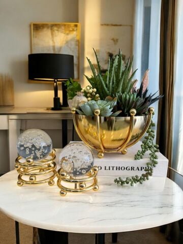 Ahtapot B. Sukulent Aranjmanı, Kitap Kutusu & 2'li Noktalı Cam Küre – Gold 4 Parça Set
