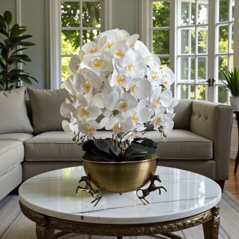 Atlı Saksı Orkide Aranjmanı – 6’lı Eskitme