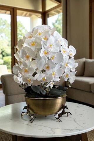 Atlı Saksı Orkide Aranjmanı – 6’lı Eskitme