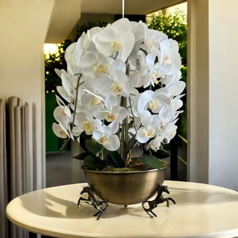Atlı Saksı Orkide Aranjmanı – 6’lı Eskitme