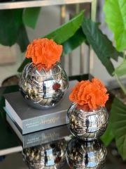 Dekoratif 2 Li Mercan Kutu Gümüş