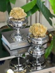 2'li Dekoratif Ayaklı Şekerlik Mercan Kutu New Gümüş