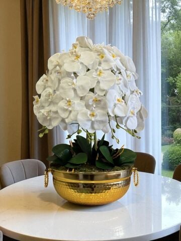 Kulplu Büyük 7'li Orkide Aranjmanı – Gold