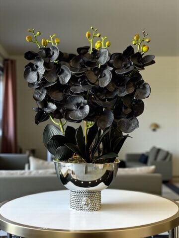 Premium Siyah Islak Orkide Aranjmanı – Gümüş 6’lı Tarzz Vazo