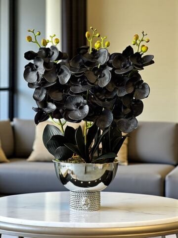 Premium Siyah Islak Orkide Aranjmanı – Gümüş 6’lı Tarzz Vazo