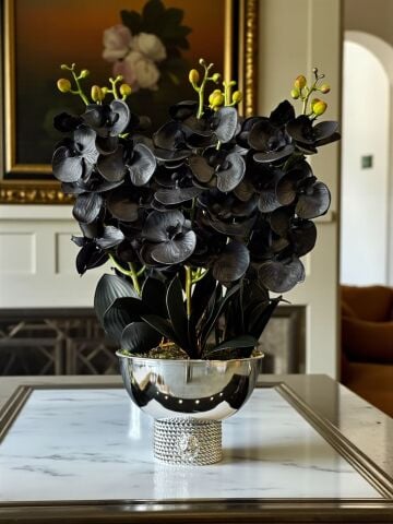 Premium Siyah Islak Orkide Aranjmanı – Gümüş 6’lı Tarzz Vazo