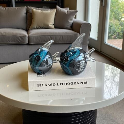 Blimp Cam Balon Balığı – Mavi / Gri 2'li Set