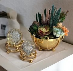 Ahtapot B. Sukulent Aranjmanı & 2'li Noktalı Cam Küre Gold