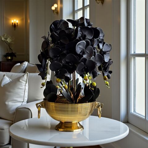 Döküm Kulplu Saksı & 6'lı Premium Siyah Orkide Aranjmanı – Gold