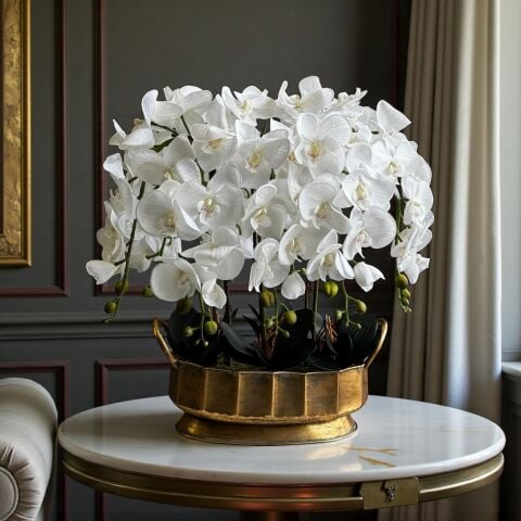 Telkari Kulplu Saksı Premium Orkide Aranjmanı 8'li