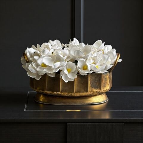 Telkari Kulplu Saksı Manolya Aranjmanı 6'lı