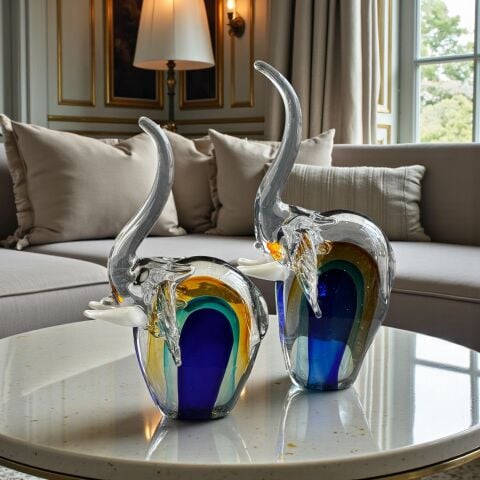 2'li Premium Glor Cam Fil Aksesuar – Mix