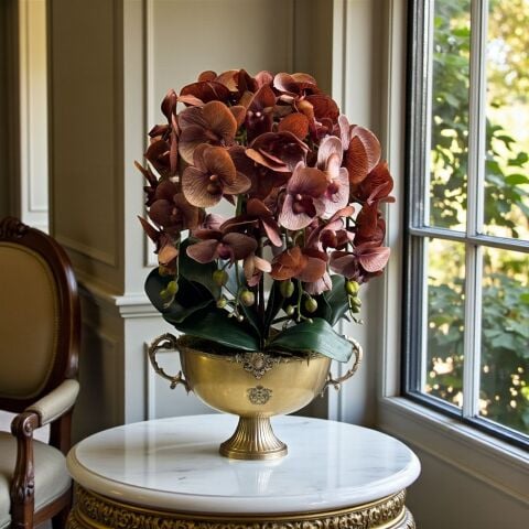 Pirinç Saksı Premium Tarçın Orkide Aranjmanı 6’lı – Eskitme