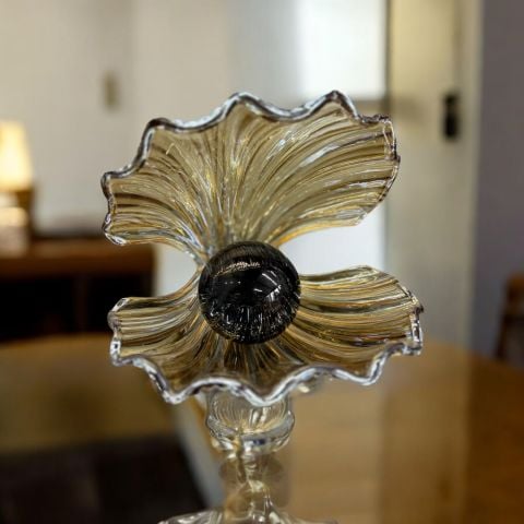 İstiridye Cam İnci Aksesuar & Obje Bal