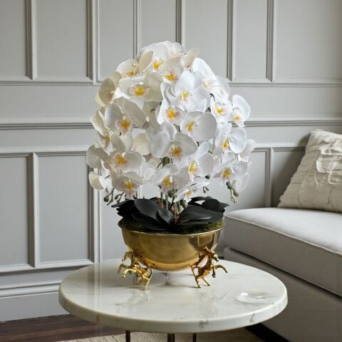 Atlı Saksı Orkide Aranjmanı – 6’lı Gold