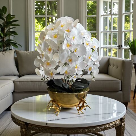 Atlı Saksı Orkide Aranjmanı – 6’lı Gold