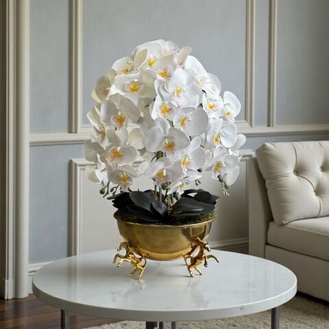 Atlı Saksı Orkide Aranjmanı – 6’lı Gold