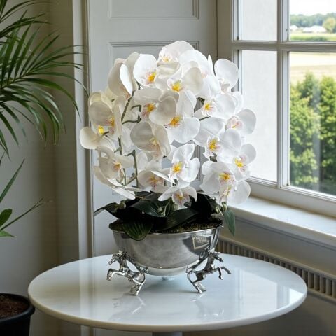 Atlı Saksı Orkide Aranjmanı – 6’lı Gümüş