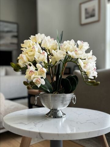 Vionna Saksı Singapur Orkide Aranjmanı – 6 Dallı Eskitme