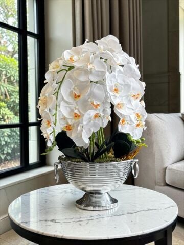 Vionna Saksı 6 Dal Orkide Aranjmanı – Gümüş