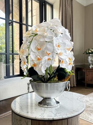 Vionna Saksı 6 Dal Orkide Aranjmanı – Gümüş