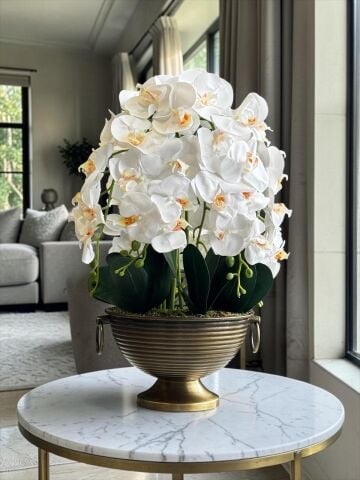 Vionna Saksı 6 Dal Orkide Aranjmanı – Eskitme