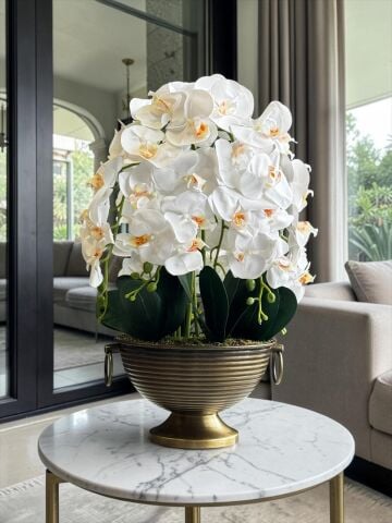 Vionna Saksı 6 Dal Orkide Aranjmanı – Eskitme