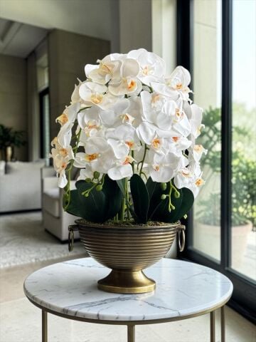 Vionna Saksı 6 Dal Orkide Aranjmanı – Eskitme