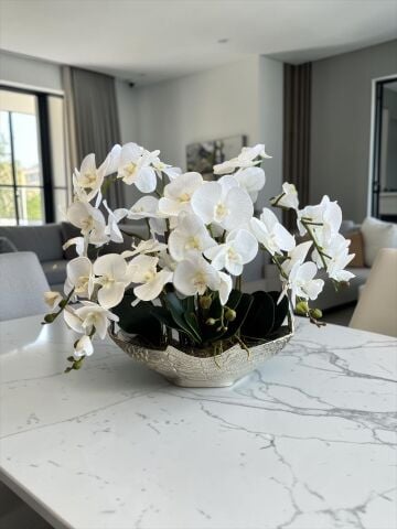 Kuğu Döküm Premium Orkide Aranjmanı 8’li – Gümüş