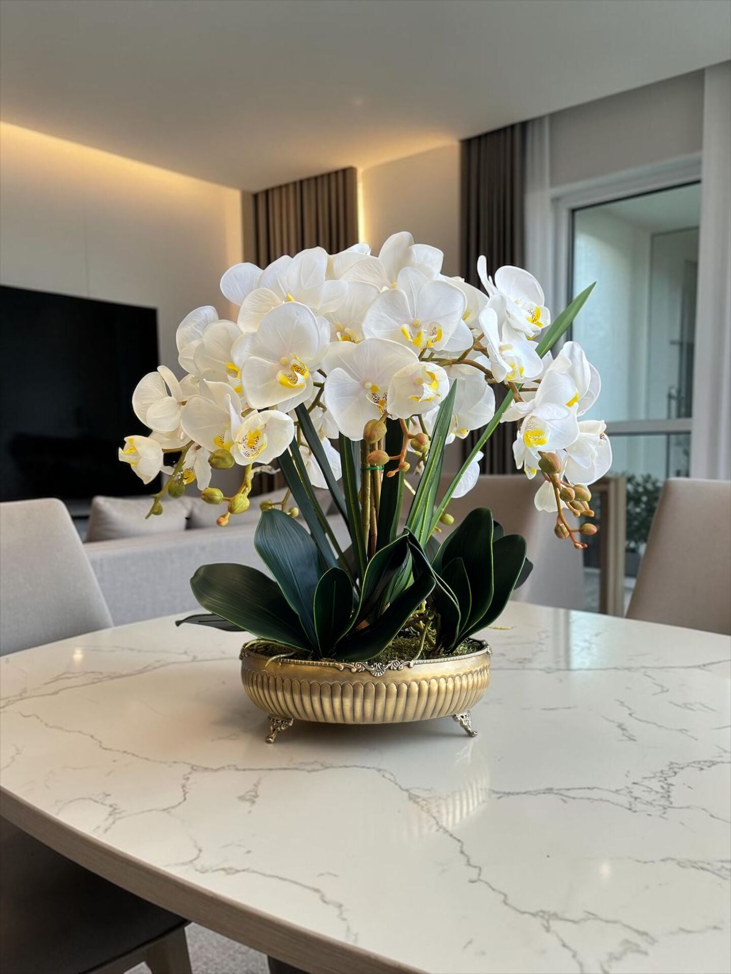Premium Orkide Pirinç Saksı Aranjmanı 7'li
