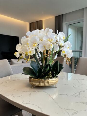 Premium Orkide Pirinç Saksı Aranjmanı 7'li