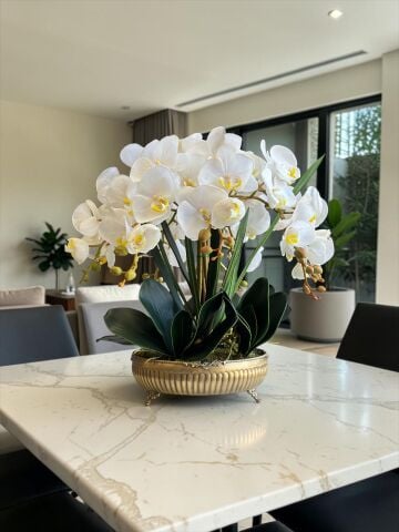 Premium Orkide Pirinç Saksı Aranjmanı 7'li
