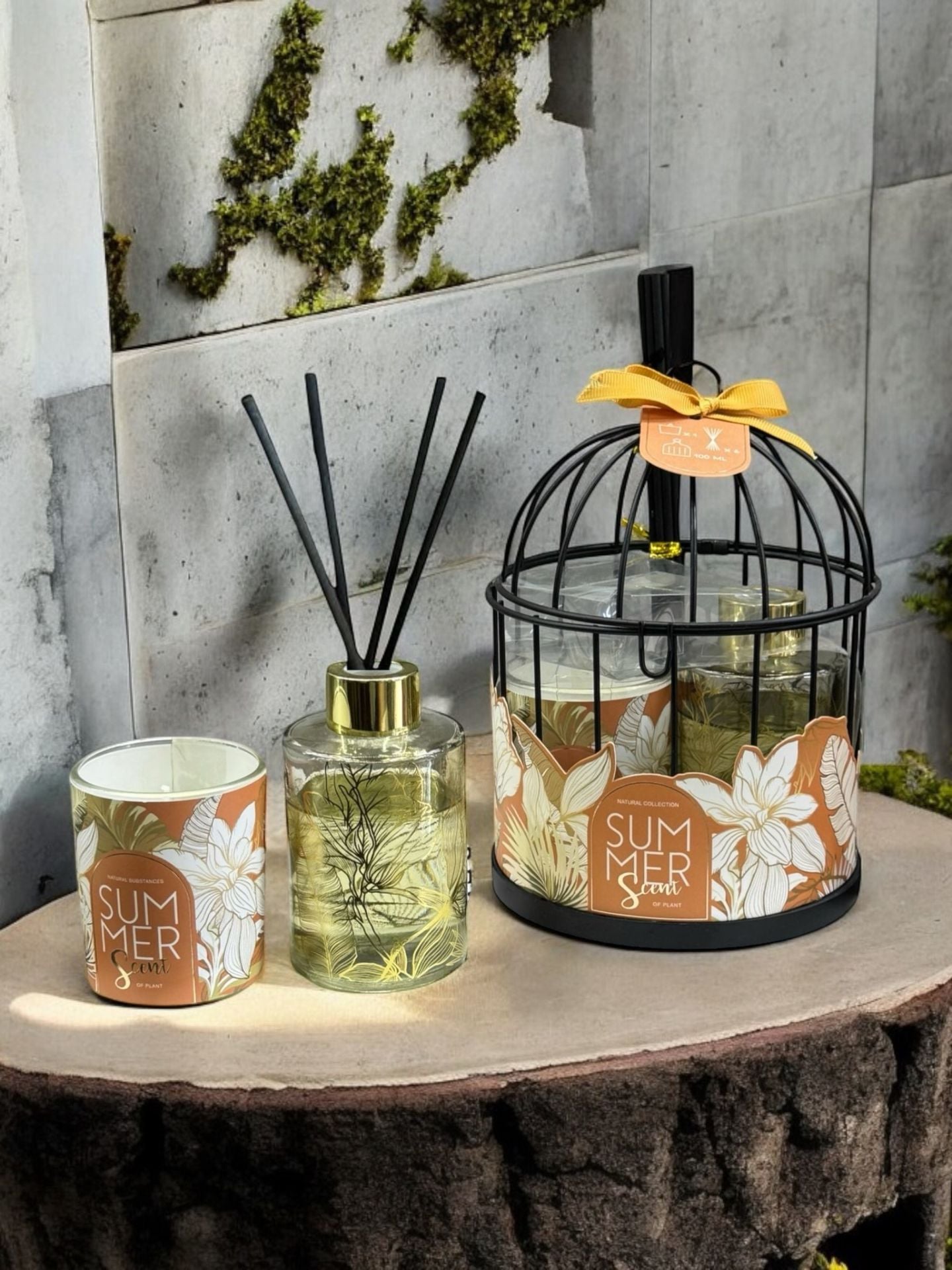 Kafes Mumluk & Oda Kokusu 3 Parça Set