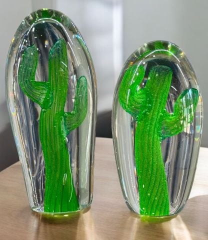 Dekoratif 2'li Kaktüs Cam Aksesuar Siyah