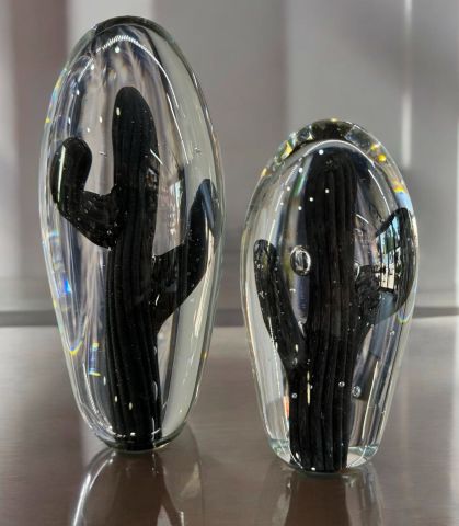 Dekoratif 2'li Kaktüs Cam Aksesuar