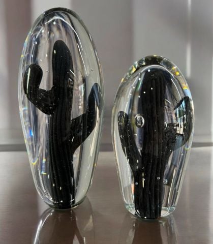 Dekoratif 2'li Kaktüs Cam Aksesuar Siyah